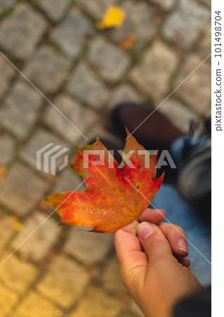 Unrecognizable woman holding Colorful falling autumn leaves. Copy space. Walk through park forest fall day Nature fall landscape background. Hello autumn vibes Unrecognizable woman holding Colorful falling autumn leaves. Copy space. Walk through park forest fall day Nature fall landscape background. Hello autumn vibes 101498704