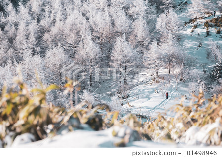 Minamisawayama in winter Minamisawayama in winter 101498946
