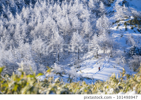 Minamisawayama in winter Minamisawayama in winter 101498947