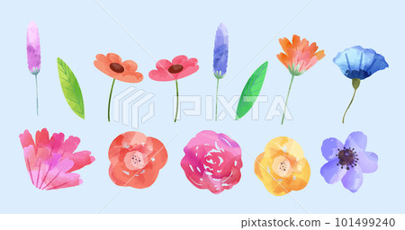 Watercolor flower set 101499240