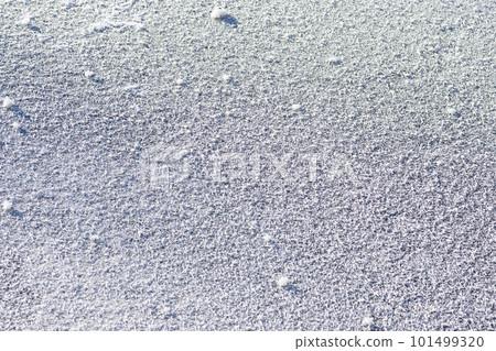 Frost flowers on Lake Utonai Frost flowers on Lake Utonai 101499320