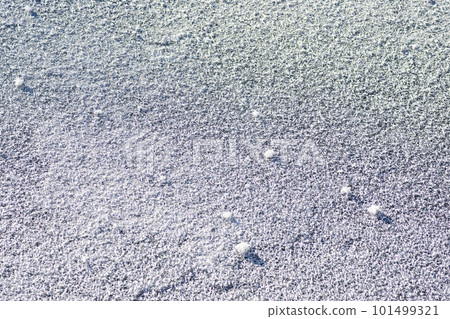 Frost flowers on Lake Utonai Frost flowers on Lake Utonai 101499321