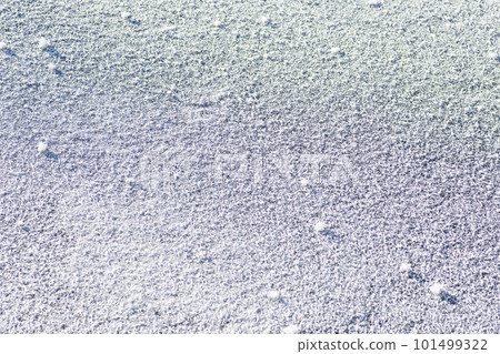 Frost flowers on Lake Utonai Frost flowers on Lake Utonai 101499322