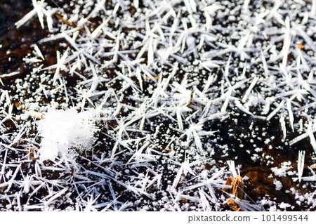 Frost flowers on Lake Utonai 101499544