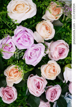 Lying on branch rose on mat background Lying on branch rose on mat background 101499994