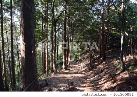 春天的登山步道(多度山) 春天的登山步道(多度山) 101500091
