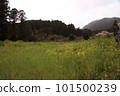 櫻花的風景 101500239