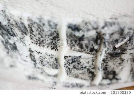 detail shot of fresh goat cheese detail shot of fresh goat cheese 101500380
