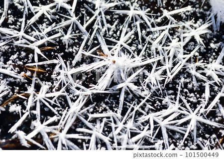 Crystal of snow Crystal of snow 101500449