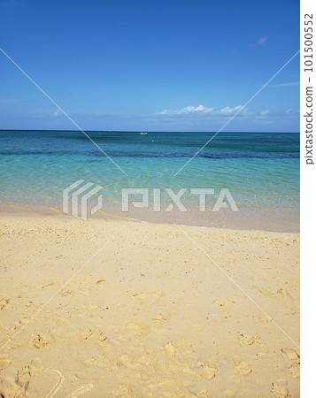 沖繩海 沖繩海 101500552