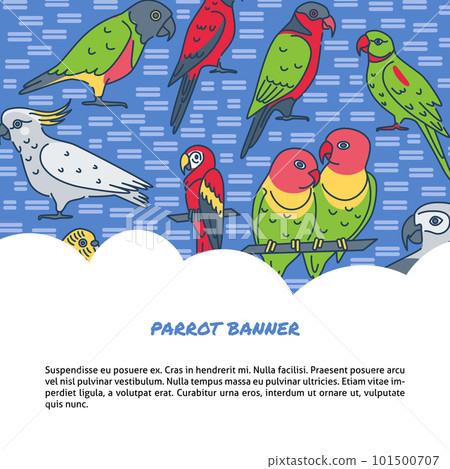 Parrots background in line style with text Parrots background in line style with text 101500707