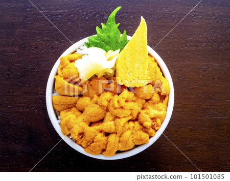 Sea urchin bowl (purple sea urchin) Sea urchin bowl (purple sea urchin) 101501085