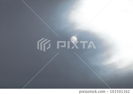 Sun Sun 101501162