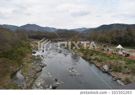 櫻花盛開的秩父道路長瀞 101501263