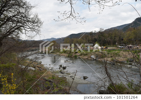 櫻花盛開的秩父道路長瀞 101501264