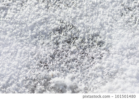 雪特寫鏡頭 101501480