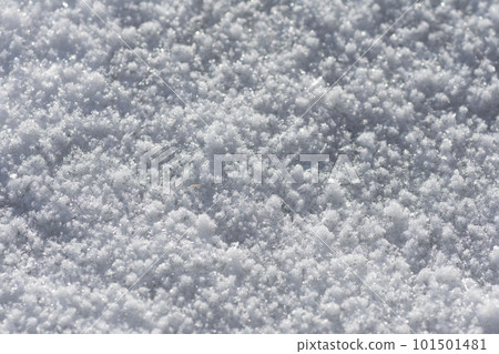 雪特寫鏡頭 101501481