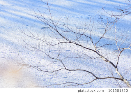 Lake Utonai scenery in winter 101501850