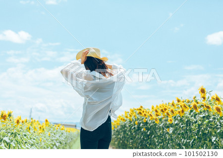 走在向日葵領域向日葵的婦女 101502130