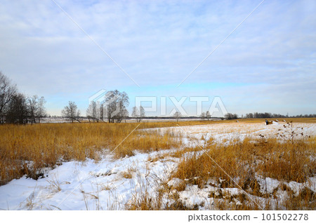 Beautiful winter landscape in the field with dry grass and blue sky Beautiful winter landscape in the field with dry grass and blue sky 101502278