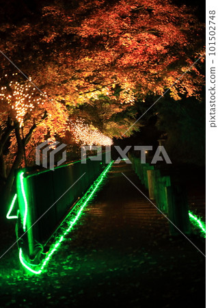 城堡公園 101502748