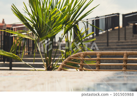 Defocused Empty abstract blurred restaurant background. Blurry cafe terrace on day time with palm trees or coffee shop chairs Defocused Empty abstract blurred restaurant background. Blurry cafe terrace on day time with palm trees or coffee shop chairs 101503988