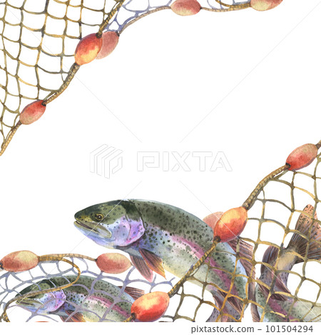 Hand drawn watercolor illustration, frame with fishing net and trouts, seine isolated on a white background. Can be used as a flyer template for fishing tackle and seafood stores Hand drawn watercolor illustration, frame with fishing net and trouts, seine isolated on a white background. Can be used as a flyer template for fishing tackle and seafood stores 101504294