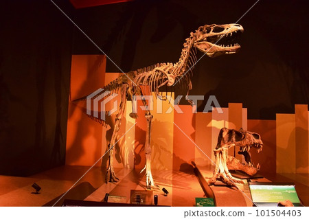 Iwaki City Coal and Fossil Museum Horuru Tyrannosaurus model 101504403