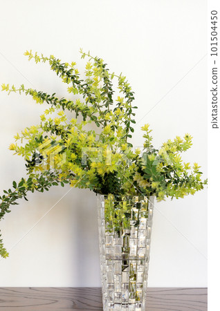 新葉硫磺白底花瓶 101504450