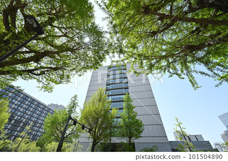 "Tokyo" Member's office building shining in the fresh greenery 101504890