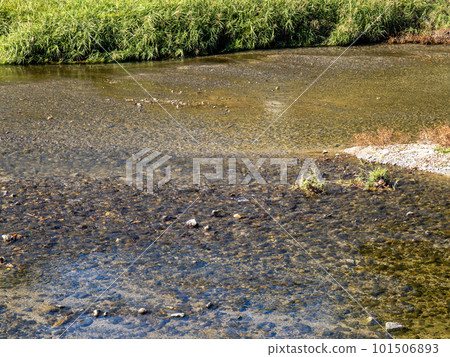 高野川。位於京都市左京區。 高野川。位於京都市左京區。 101506893