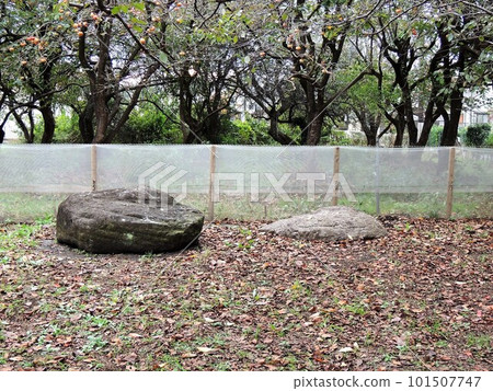 Musashi Kokubunji Ruins Foundation Stone Musashi Kokubunji Ruins Foundation Stone 101507747