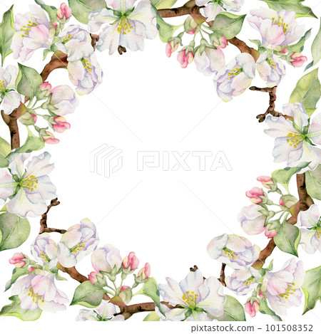 Hand drawn watercolor apple flowers, branches and leaves, white, pink and green blossom. Circle round wreath. Isolated on white background. Design for wall art, wedding, print, fabric, cover, card. Hand drawn watercolor apple flowers, branches and leaves, white, pink and green blossom. Circle round wreath. Isolated on white background. Design for wall art, wedding, print, fabric, cover, card. 101508352