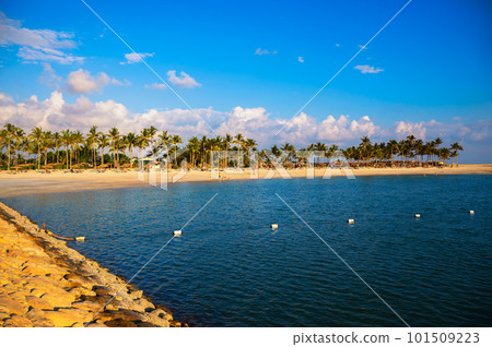 Sunny beach with palm trees, umbrellas and tourists in Salalah, Oman 101509223