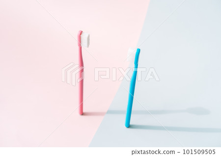 Toothbrushes on the background of gender colors Toothbrushes on the background of gender colors 101509505