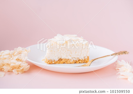 White cheesecake with coconut flavor on plate on pink background White cheesecake with coconut flavor on plate on pink background 101509550
