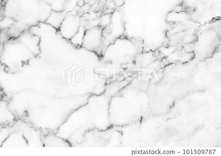 White or grey marble texture background pattern with high resolution.  Can be use wallpaper 101509787