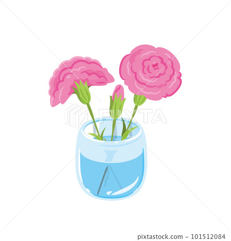 Pink carnation fresh flowers - Stock Illustration [101512084] - PIXTA