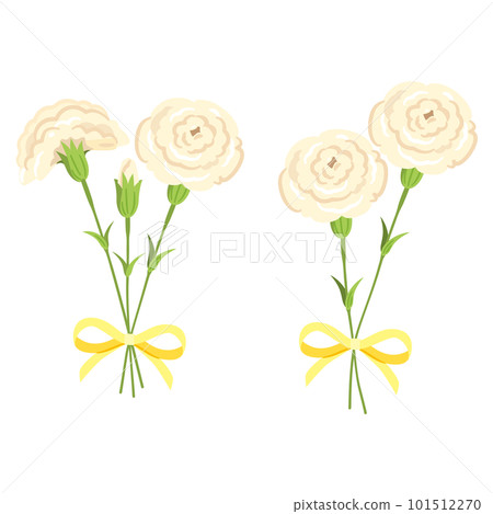 白色康乃馨花束 3 101512270