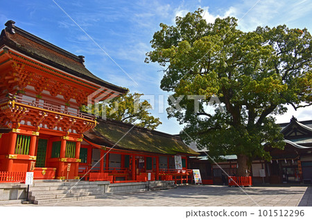 Oita Usa Jingu Shrine 101512296