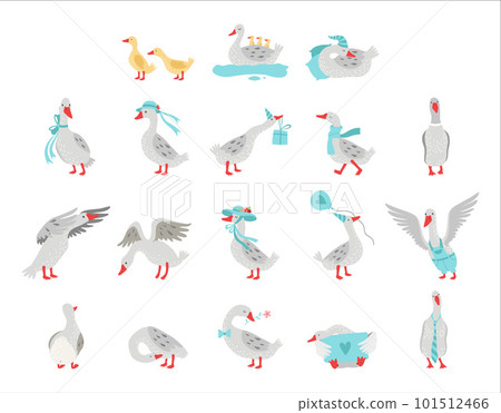 Goose Domestic Bird Wearing Blue Hat, Sleeping in Night Cap and Carrying Gift Box Vector Big Set 101512466