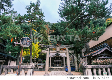 【#Hyogo】Shisho Shrine 101513166
