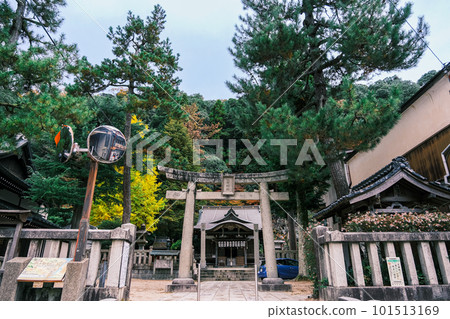 【#Hyogo】Shisho Shrine 【#Hyogo】Shisho Shrine 101513169