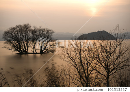 Winter evening photography in Onoe, Kohoku-cho, Nagahama City, Shiga Prefecture 101513237