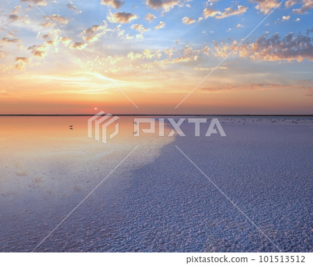 Seagulls on sunset Genichesk pink salty lake, Ukraine Seagulls on sunset Genichesk pink salty lake, Ukraine 101513512