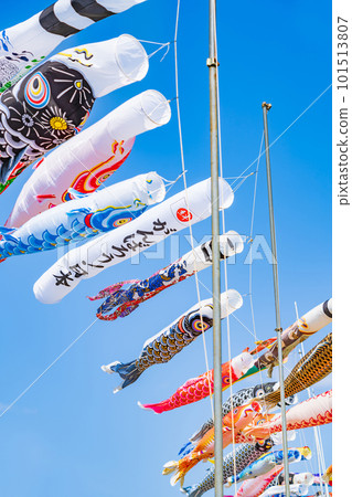 Koinobori/五月圖片 101513807