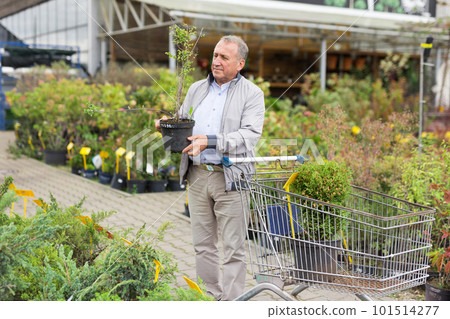 Man choosing seedlings in market 101514277