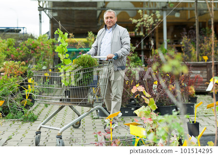 Man choosing seedlings in market 101514295