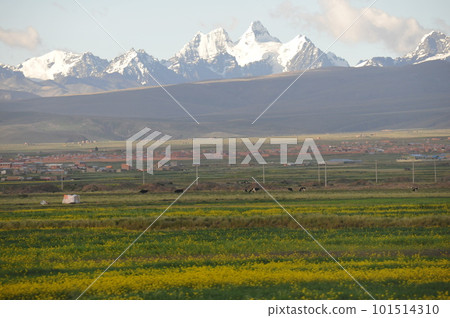 Bolivia, La Paz, mountains near La Paz, Mount Condolini Bolivia, La Paz, mountains near La Paz, Mount Condolini 101514310