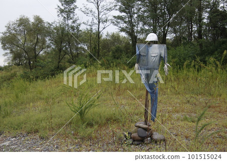 A scarecrow standing on the Kinugawa riverbed: Tochigi Prefecture 101515024